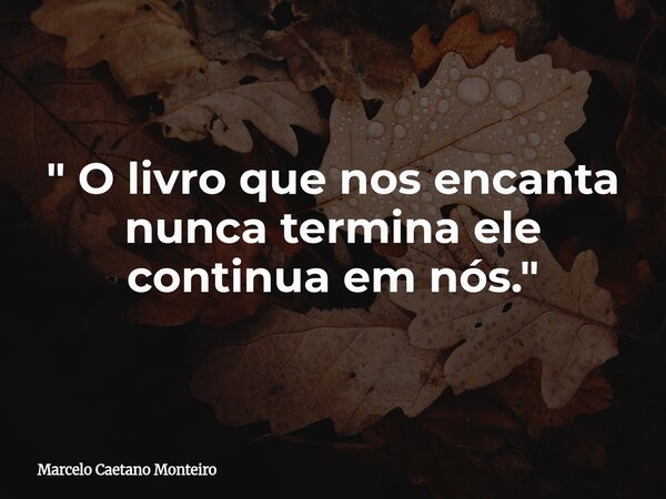 " O livro que nos encanta nunca termina ele continua em nós. "... Frase de Marcelo Caetano Monteiro.
