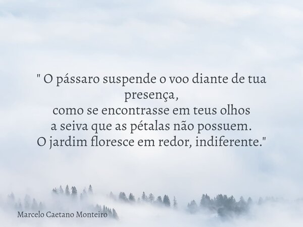 " O pássaro suspende o voo diante de tua presença, como se encontrasse em teus olhos a seiva que as pétalas não possuem. O jardim floresce em redor, indife... Frase de Marcelo Caetano Monteiro.