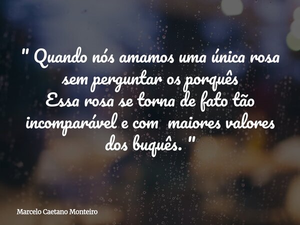 " Quando nós amamos uma única rosa sem perguntar os porquês Essa rosa se torna de fato tão incomparável e com maiores valores dos buquês. "... Frase de Marcelo Caetano Monteiro.