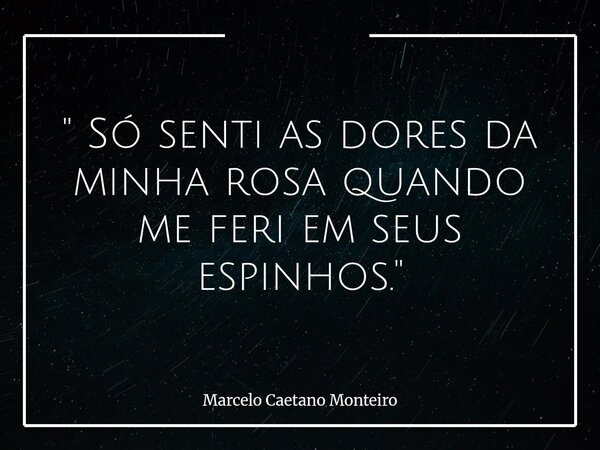 " Só senti as dores da minha rosa quando me feri em seus espinhos. "... Frase de Marcelo Caetano Monteiro.