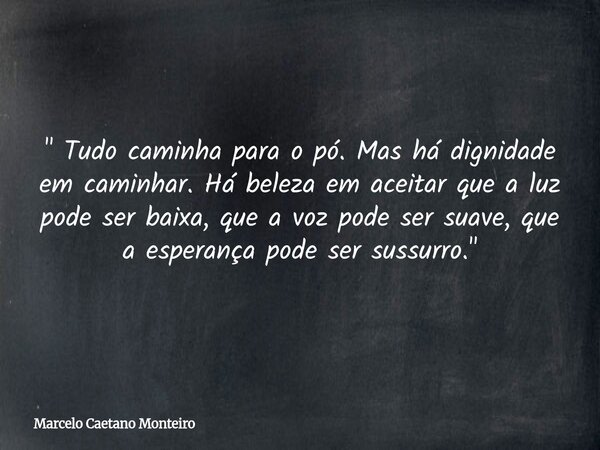 " Tudo caminha para o pó. Mas há dignidade em caminhar. Há beleza em aceitar que a luz pode ser baixa, que a voz pode ser suave, que a esperança pode ser s... Frase de Marcelo Caetano Monteiro.