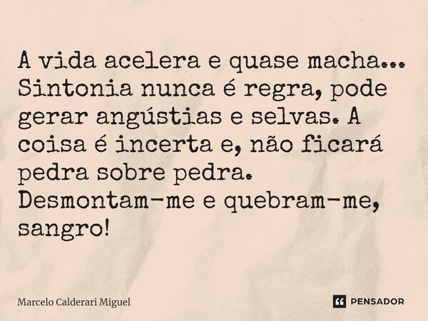 ⁠A vida acelera e quase macha... Sintonia nunca é regra, pode gerar angústias e selvas. A coisa é incerta e, não ficará pedra sobre pedra. Desmontam-me e quebra... Frase de Marcelo Calderari Miguel.