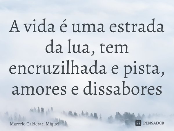 ⁠A vida é uma estrada da lua, tem encruzilhada e pista, amores e dissabores... Frase de Marcelo Calderari Miguel.