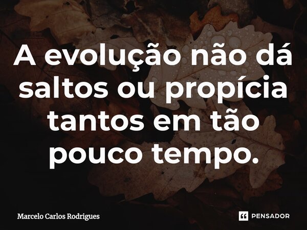 ⁠A evolução não dá saltos ou propícia tantos em tão pouco tempo.... Frase de Marcelo Carlos Rodrigues.