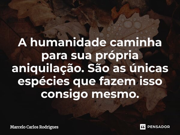 ⁠ A humanidade caminha para sua própria aniquilação. São as únicas espécies que fazem isso consigo mesmo.... Frase de Marcelo Carlos Rodrigues.