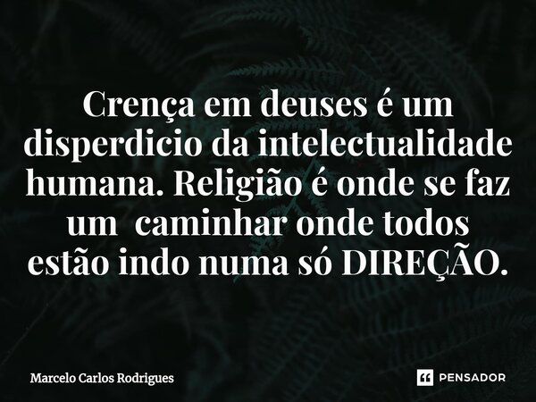 ⁠Crença em deuses é um disperdicio da intelectualidade humana. Religião é onde se faz um caminhar onde todos estão indo numa só DIREÇÃO.... Frase de Marcelo Carlos Rodrigues.