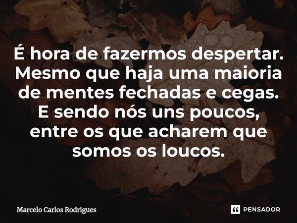 ⁠É hora de fazermos despertar. Mesmo que haja uma maioria de mentes fechadas e cegas. E sendo nós uns poucos, entre os que acharem que somos os loucos.... Frase de Marcelo Carlos Rodrigues.