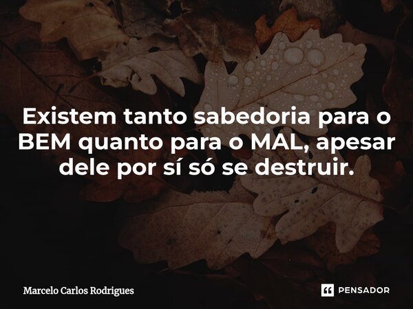 Existem tanto sabedoria para o BEM quanto para o MAL, apesar dele por sí só se destruir.... Frase de Marcelo Carlos Rodrigues.