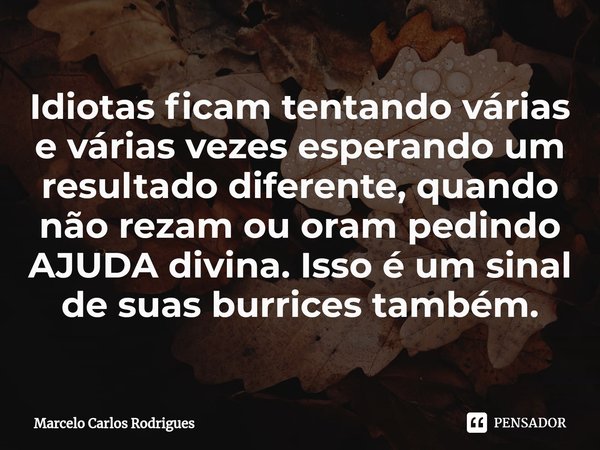 ⁠Idiotas ficam tentando várias e várias vezes esperando um resultado diferente, quando não rezam ou oram pedindo AJUDA divina. Isso é um sinal de suas burrices ... Frase de Marcelo Carlos Rodrigues.