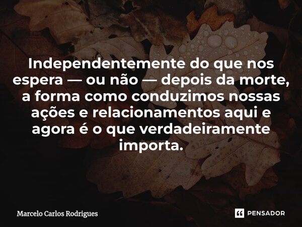 Independentemente do que nos espera — ou não — depois da morte, a forma como conduzimos nossas ações e relacionamentos aqui e agora é o que verdadeiramente impo... Frase de Marcelo Carlos Rodrigues.