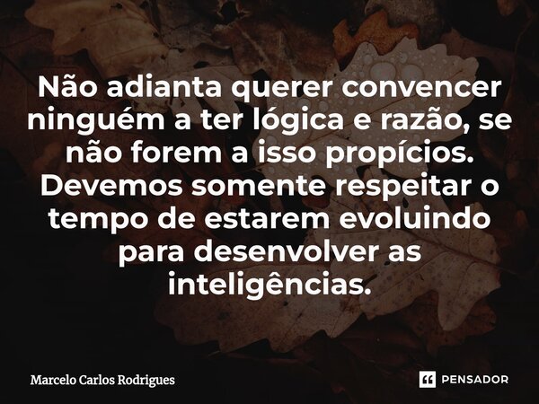 ⁠Não adianta querer convencer ninguém a ter lógica e razão, se não forem a isso propícios. Devemos somente respeitar o tempo de estarem evoluindo para desenvolv... Frase de Marcelo Carlos Rodrigues.