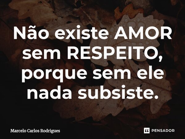 ⁠Não existe AMOR sem RESPEITO, porque sem ele nada subsiste.... Frase de Marcelo Carlos Rodrigues.