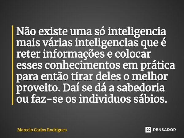 ⁠Não existe uma só inteligencia mais várias inteligências que é reter informações e colocar esses conhecimentos em prática para então tirar deles o melhor prove... Frase de Marcelo Carlos Rodrigues.