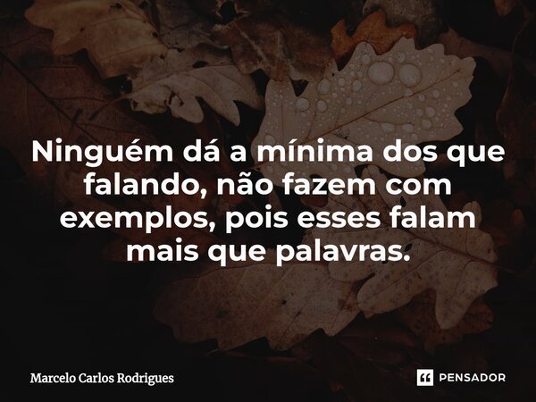 ⁠ Ninguém dá a mínima dos que falando, não fazem com exemplos, pois esses falam mais que palavras.... Frase de Marcelo Carlos Rodrigues.