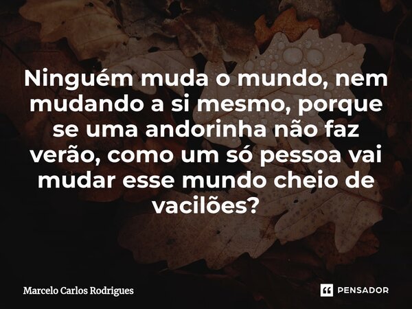 ⁠Ninguém muda o mundo, nem mudando a si mesmo, porque se uma andorinha não faz verão, como um só pessoa vai mudar esse mundo cheio de vacilões?... Frase de Marcelo Carlos Rodrigues.