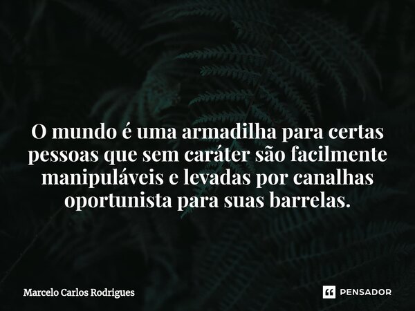 ⁠ O mundo é uma armadilha para certas pessoas que sem caráter são facilmente manipuláveis e levadas por canalhas oportunista para suas barrelas.... Frase de Marcelo Carlos Rodrigues.