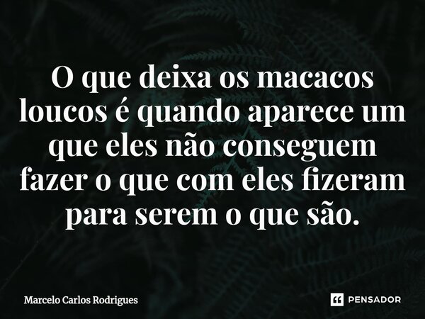 ⁠O que deixa os macacos loucos é quando aparece um que eles não conseguem fazer o que com eles fizeram para serem o que são.... Frase de Marcelo Carlos Rodrigues.
