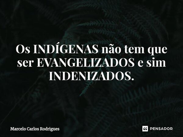 Os INDÍGENAS não tem que ser EVANGELIZADOS e sim INDENIZADOS.... Frase de Marcelo Carlos Rodrigues.