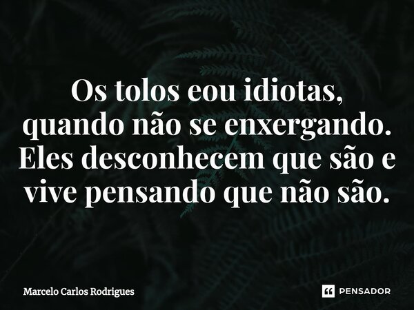 ⁠Os tolos eou idiotas, quando não se enxergando. Eles desconhecem que são e vive pensando que não são.... Frase de Marcelo Carlos Rodrigues.
