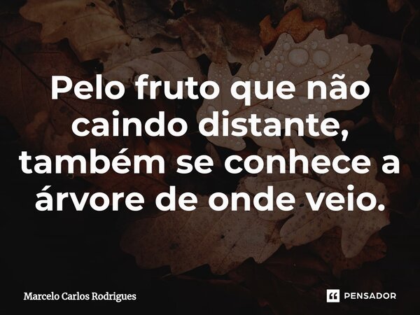 ⁠Pelo fruto que não caindo distante, também se conhece a árvore de onde veio.... Frase de Marcelo Carlos Rodrigues.
