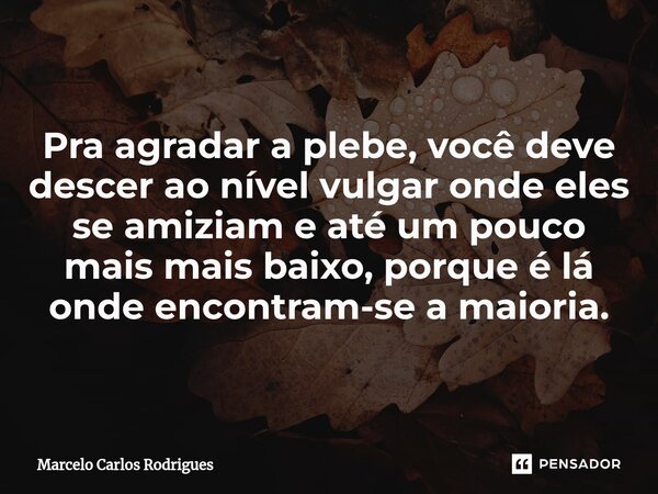 Pra agradar a plebe, você deve descer ao nível vulgar onde eles se amiziam e até um pouco mais mais baixo, porque é lá onde encontram-se a maioria.... Frase de Marcelo Carlos Rodrigues.