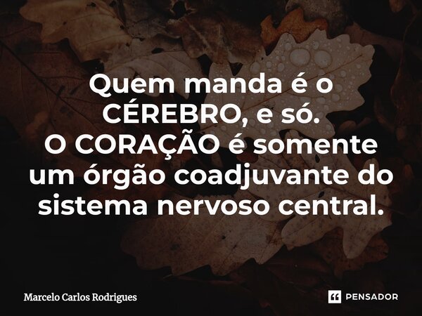 ⁠Quem manda é o CÉREBRO, e só. O CORAÇÃO é somente um órgão coadjuvante do sistema nervoso central.... Frase de Marcelo Carlos Rodrigues.
