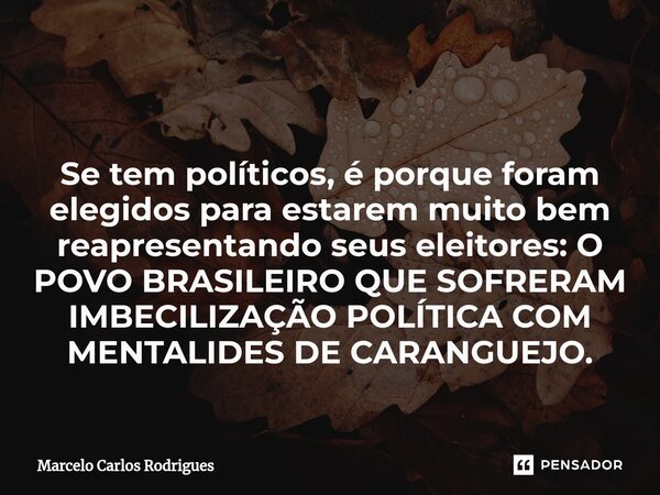⁠ Se tem políticos, é porque foram elegidos para estarem muito bem reapresentando seus eleitores: O POVO BRASILEIRO QUE SOFRERAM IMBECILIZAÇÃO POLÍTICA COM MENT... Frase de Marcelo Carlos Rodrigues.