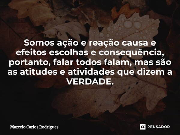 Somos ação e reação causa e efeitos escolhas e consequência, portanto, falar todos falam, mas são as atitudes e atividades que dizem a VERDADE.... Frase de Marcelo Carlos Rodrigues.