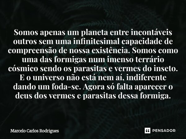 Somos apenas um planeta entre incontáveis outros sem uma infinitesimal capacidade de compreensão de nossa existência. Somos como uma das formigas num imenso te... Frase de Marcelo Carlos Rodrigues.
