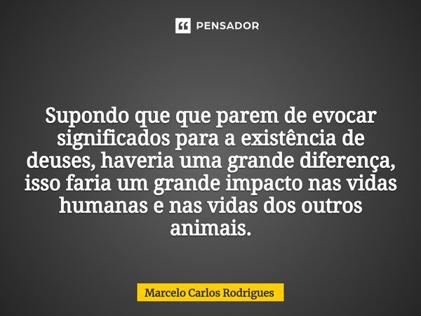 ⁠ Supondo que que parem de evocar significados para a existência de deuses, haveria uma grande diferença, isso faria um grande impacto nas vidas humanas e nas v... Frase de Marcelo Carlos Rodrigues.