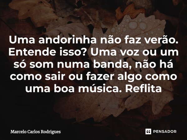 Uma andorinha não faz verão. Entende isso? Uma voz ou um só som numa banda, não há como sair ou fazer algo como uma boa música. Reflita... Frase de Marcelo Carlos Rodrigues.