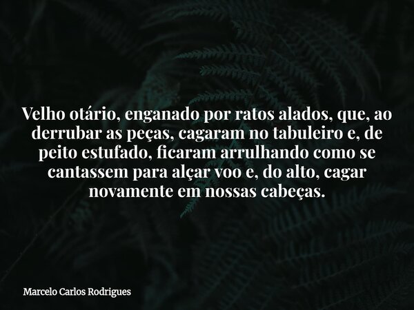 Velho otário, enganado por ratos alados, que, ao derrubar as peças, cagaram no tabuleiro e, de peito estufado, ficaram arrulhando como se cantassem para alçar v... Frase de Marcelo Carlos Rodrigues.