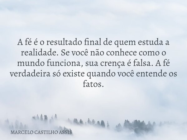 ​A fé é o resultado final de quem estuda a realidade. Se você não conhece como o mundo funciona, sua crença é falsa. A fé verdadeira só existe quando você enten... Frase de MARCELO CASTILHO ASSIS.