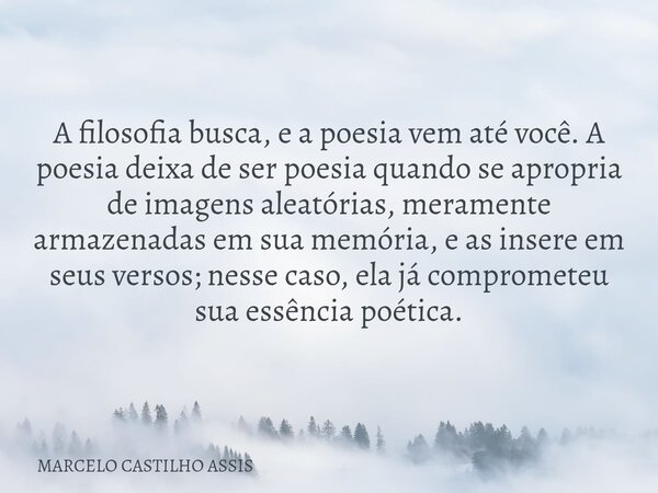 A filosofia busca, e a poesia vem até você. A poesia deixa de ser poesia quando se apropria de imagens aleatórias, meramente armazenadas em sua memória, e as in... Frase de MARCELO CASTILHO ASSIS.
