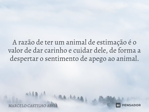 A razão de ter um animal de estimação é o valor de dar carinho e cuidar dele, de forma a despertar o sentimento de apego ao animal.... Frase de MARCELO CASTILHO ASSIS.