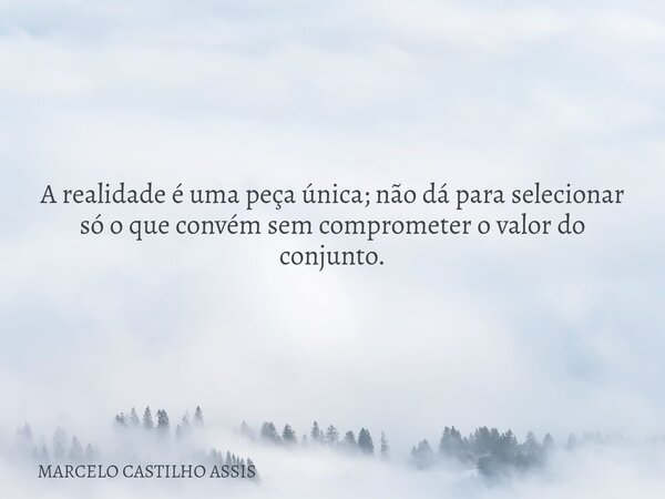 ​A realidade é uma peça única; não dá para selecionar só o que convém sem comprometer o valor do conjunto.... Frase de MARCELO CASTILHO ASSIS.
