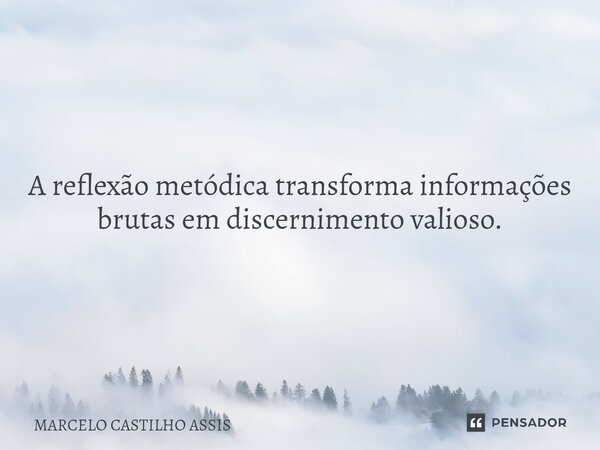 ⁠A reflexão metódica transforma informações brutas em discernimento valioso.... Frase de MARCELO CASTILHO ASSIS.