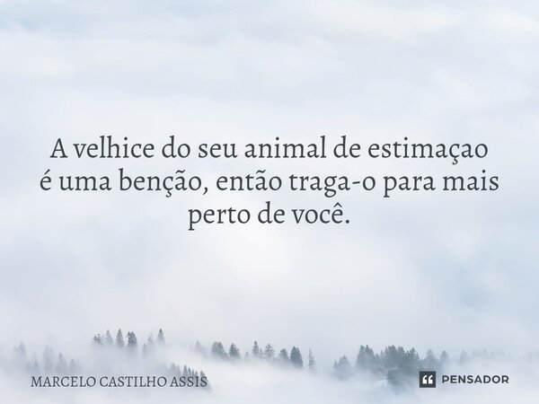 ⁠A velhice do seu animal de estimaçao é uma benção, então traga-o para mais perto de você.... Frase de MARCELO CASTILHO ASSIS.
