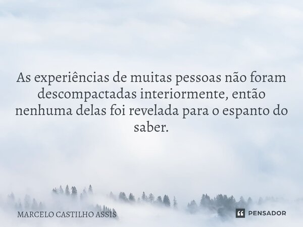 ⁠As experiências de muitas pessoas não foram descompactadas interiormente, então nenhuma delas foi revelada para o espanto do saber.... Frase de MARCELO CASTILHO ASSIS.