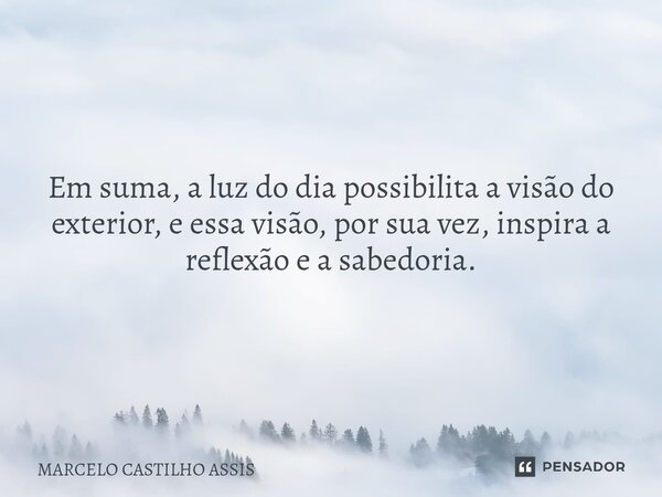 ⁠Em suma, a luz do dia possibilita a visão do exterior, e essa visão, por sua vez, inspira a reflexão e a sabedoria.... Frase de MARCELO CASTILHO ASSIS.