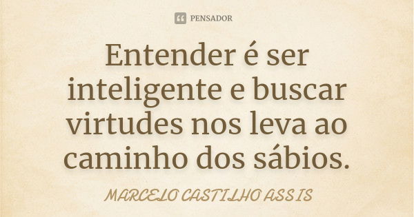 Entender é ser inteligente e buscar virtudes nos leva ao caminho dos sábios.... Frase de MARCELO CASTILHO ASSIS.