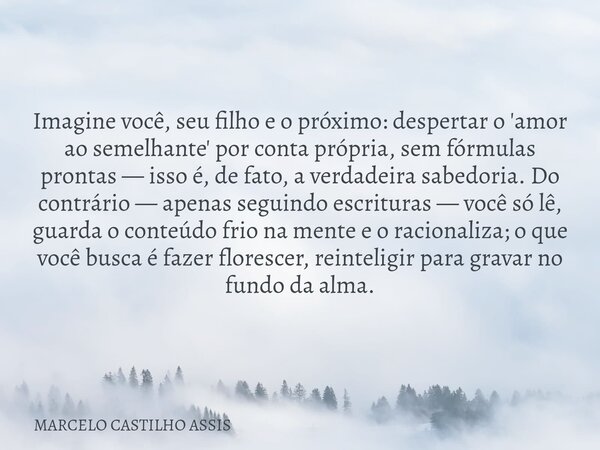 Imagine você, seu filho e o próximo: despertar o 'amor ao semelhante' por conta própria, sem fórmulas prontas — isso é, de fato, a verdadeira sabedoria. Do cont... Frase de MARCELO CASTILHO ASSIS.