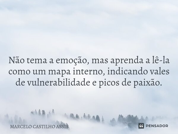 ⁠ Não tema a emoção, mas aprenda a lê-la como um mapa interno, indicando vales de vulnerabilidade e picos de paixão.... Frase de MARCELO CASTILHO ASSIS.