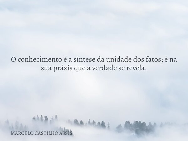 O conhecimento é a síntese da unidade dos fatos; é na sua práxis que a verdade se revela.... Frase de MARCELO CASTILHO ASSIS.