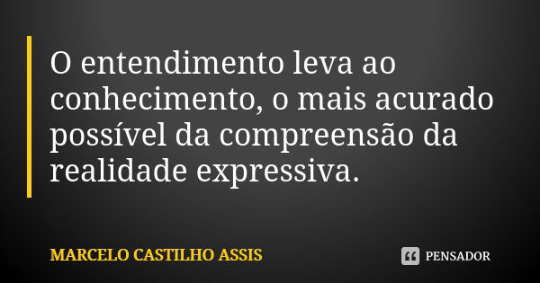 O entendimento leva ao conhecimento, o mais acurado possível da compreensão da realidade expressiva.... Frase de MARCELO CASTILHO ASSIS..