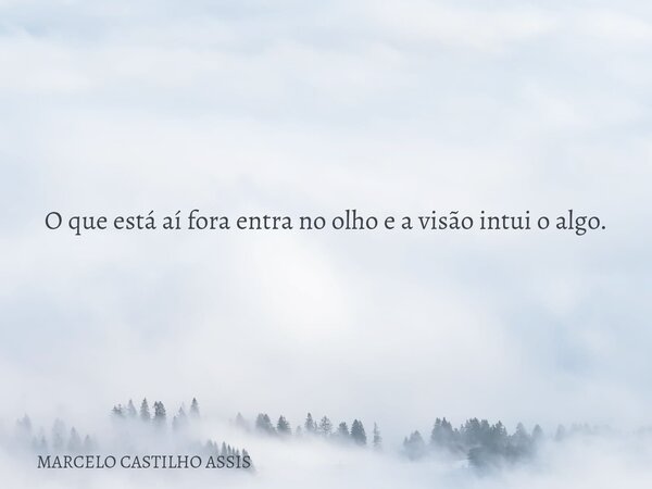 O que está aí fora entra no olho e a visão intui o algo.... Frase de MARCELO CASTILHO ASSIS.