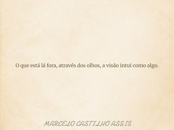 O que está lá fora, através dos olhos, a visão intui como algo.... Frase de MARCELO CASTILHO ASSIS.
