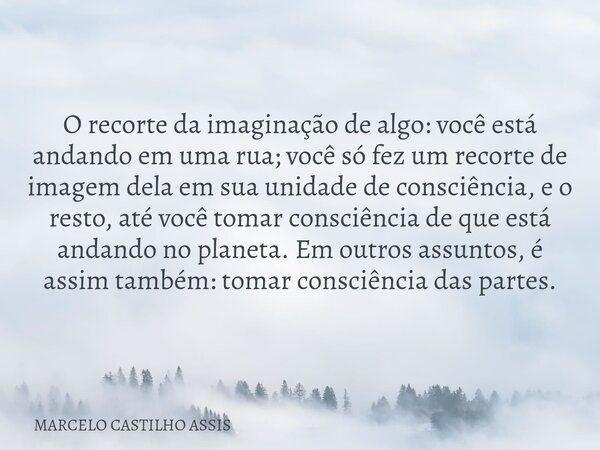 O recorte da imaginação de algo: você está andando em uma rua; você só fez um recorte de imagem dela em sua unidade de consciência, e o resto, até você tomar c... Frase de MARCELO CASTILHO ASSIS.