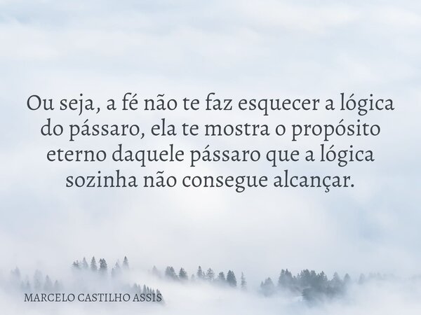 Ou seja, a fé não te faz esquecer a lógica do pássaro, ela te mostra o propósito eterno daquele pássaro que a lógica sozinha não consegue alcançar.... Frase de MARCELO CASTILHO ASSIS.