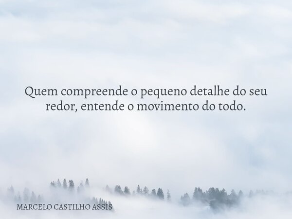 Quem compreende o pequeno detalhe do seu redor, entende o movimento do todo.... Frase de MARCELO CASTILHO ASSIS.